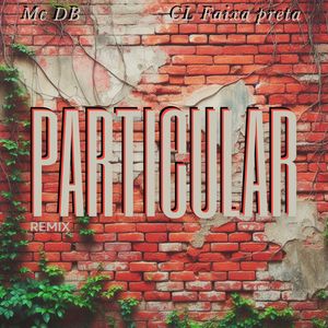 Particular (Remix) [Explicit]