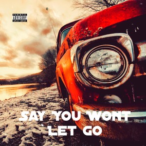 Say You Wont Let Go (Explicit)