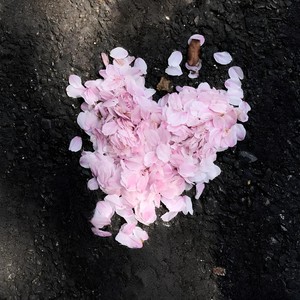 Luknine - aşk bahçesi