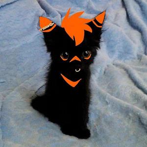 IMLOSINGMYMIND!(feat. HEALTRIP & salvatixn) (Explicit)