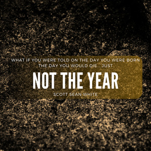 Not The Year (Single Remix)