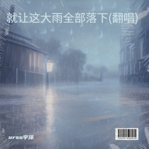 就让这大雨全部落下