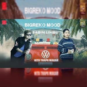 Bigreko Mood