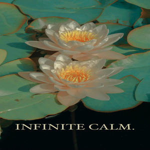 infinite calm (Explicit)