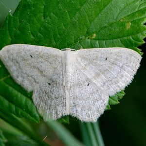 Im Such Drunkkkk ******** -_ (Explicit)