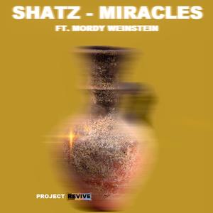 Miracles (feat. Mordy Weinstein)