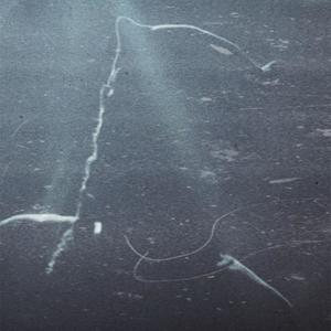 Ali Lotti444 (Explicit)