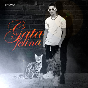 Gata Felina (Explicit)