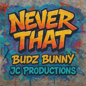 Never That (Explicit)