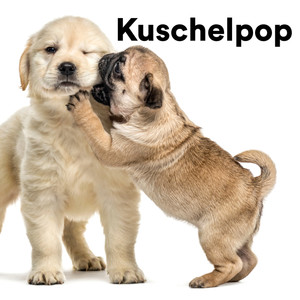 Kuschelpop (Explicit)