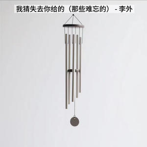 我猜失去你给的 (那些难忘的)