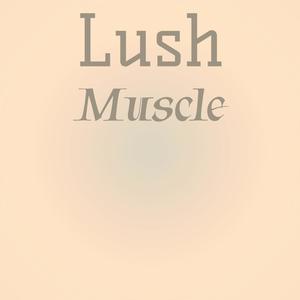 Lush Muscle