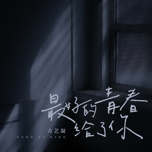 最好的青春给了你 (伴奏)