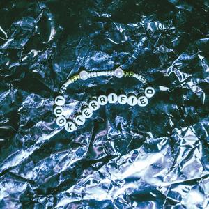 DISGUSTING LOVE (SLOWED + REVERB)