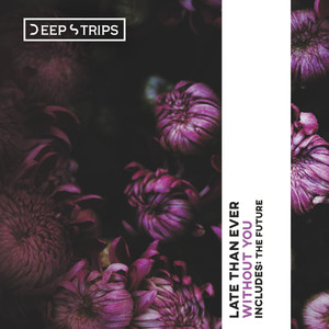 Without You (Original Mix)