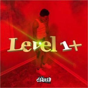 Level 1+ (Explicit)