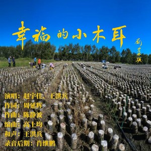 幸福的小木耳