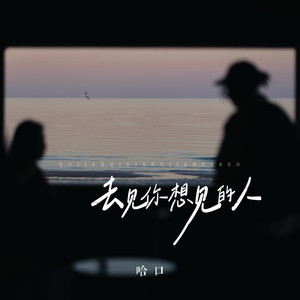 去见你想见的人 (合唱版)封面