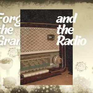 Forget the Gram and Radio (feat. Cory Stanford) (Explicit)