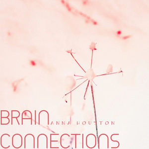 Brain Connections