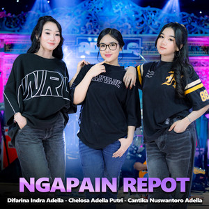 Ngapain Repot