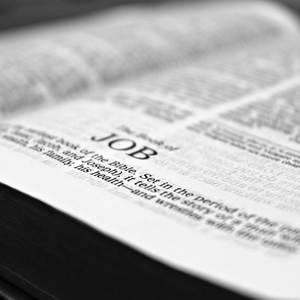 Job Psalms (Explicit)