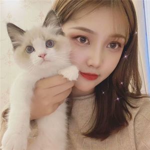 小猫吃鱼 - 大兔子小兔子片段