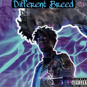 Diffrent Breed (Explicit)