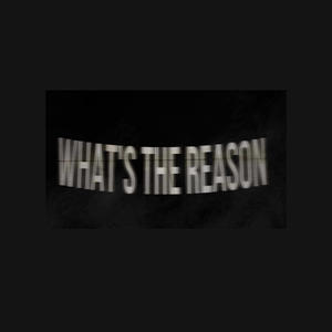 What's The Reason (Explicit)