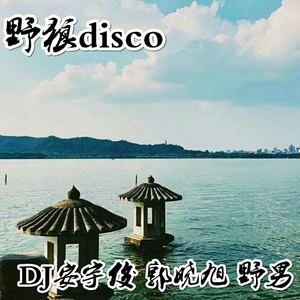 野狼disco