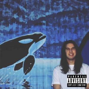 Orcahawk EP (Explicit)