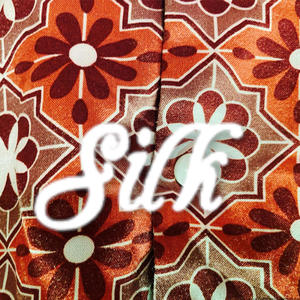 Silk (feat. Jr Loc) (Explicit)