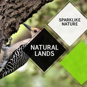 Natural Lands - Sparklike Nature