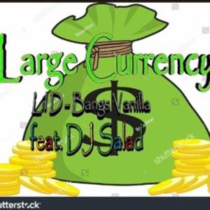 Large Currency (feat. Bangs Vanilla & DJ Salad) [Explicit]