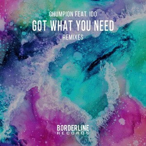 Got What You Need(Remixes)