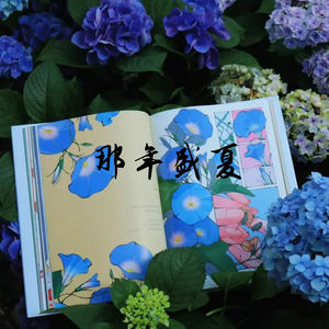 那年盛夏 (Inst.)