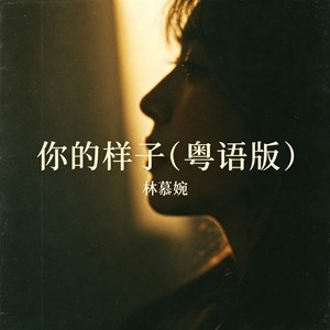 你的样子 (粤语) - 林慕婉封面
