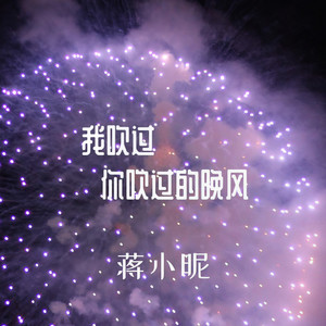 蒋小昵 - 我吹过你吹过的晚风