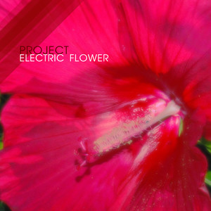 Project Electric Flower