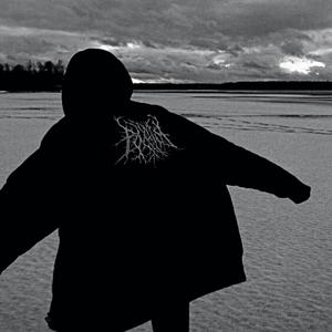silhouette (sped up)