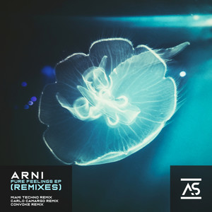 Look Around (Convoke Extended Remix)