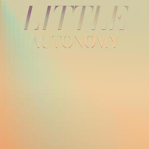 Little Autonomy