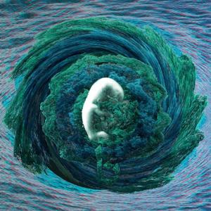 کوچه های آشتی کنان