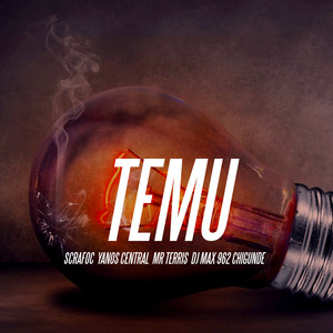 Temu
