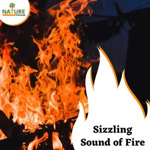 Sizzling Sound of Fire