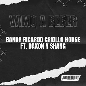 Vamo a Beber (feat. Bandy & Ricardo Criollo House)