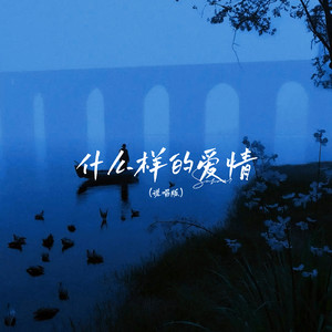 什么样的爱情 (说唱版)
