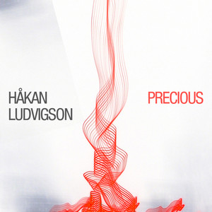 Precious (RadiX Remix)