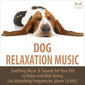 Dog Relaxation Music - Soothing Music & Sounds for Your Pet to Relax and Well-Being (no disturbing Frequencies above 16 kHz)