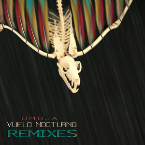 La Piragua (Bleepolar Remix)